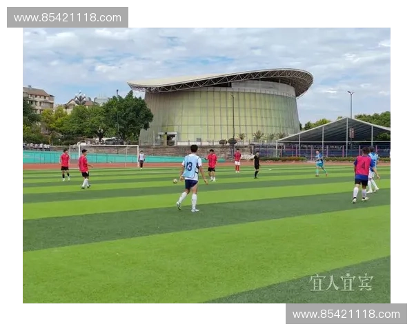 聚焦绿茵赛场深度解析当代足球联赛核心球员成长与竞技之路